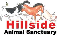 Hillside Logo