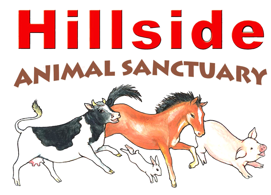 Hillside Animal Sanctuary